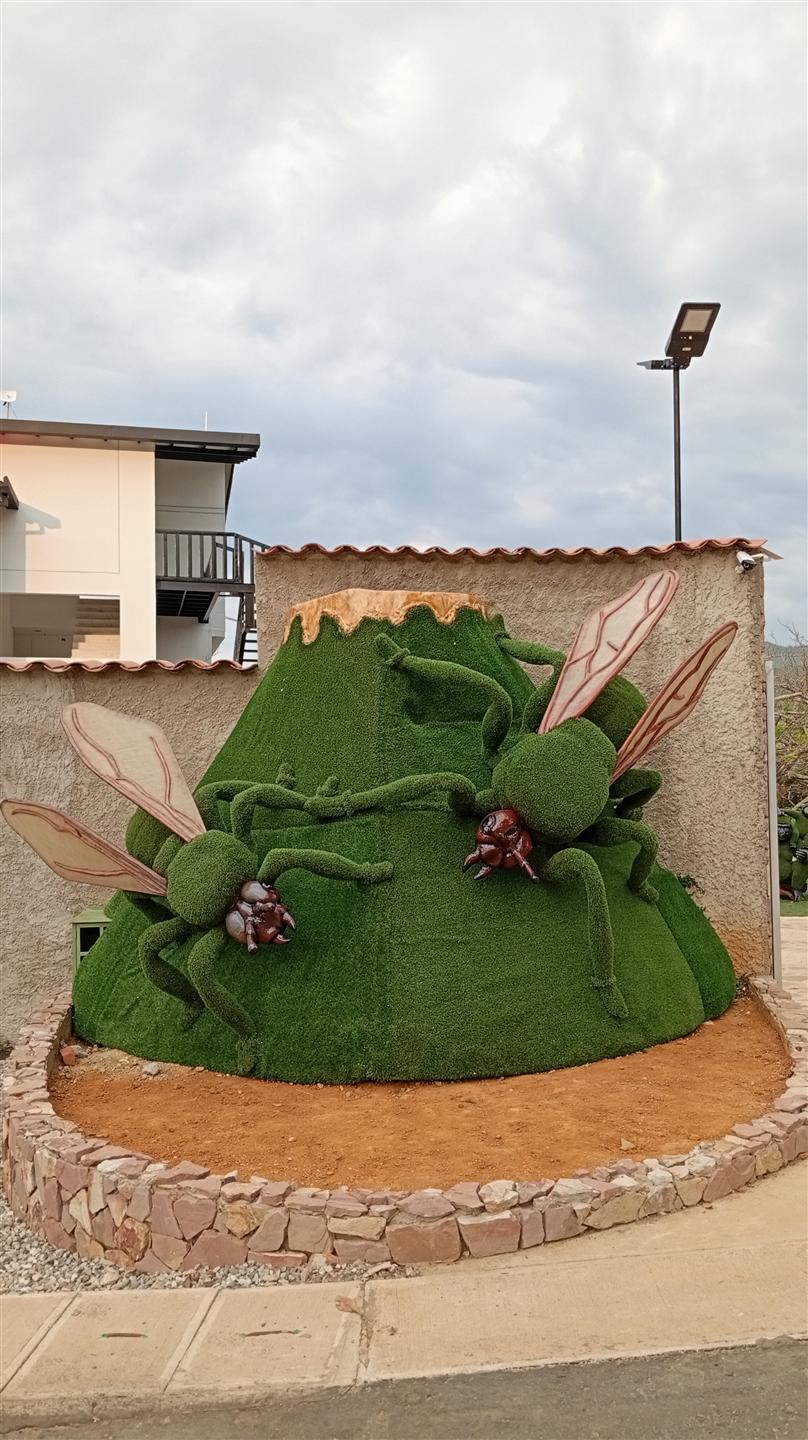 Territorio de las Hormigas Culonas, escultura topiaria del jardín de Hotel Pauché