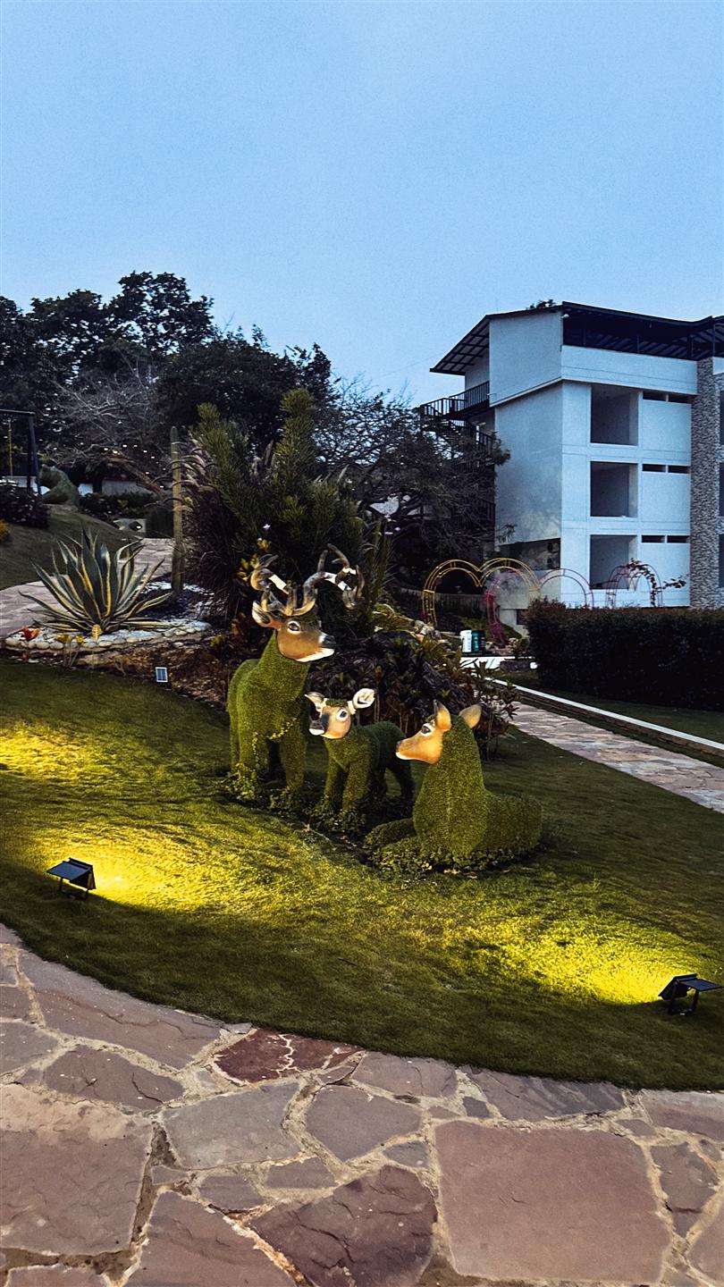 Familia de Venados, escultura topiaria del jardín de Hotel Pauché